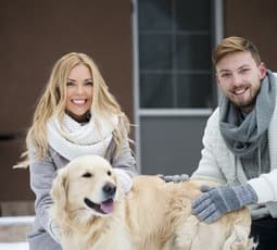 Dating single Finnish men