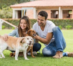 Dating single divorced men