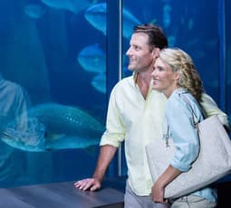 Realities of dating over 40