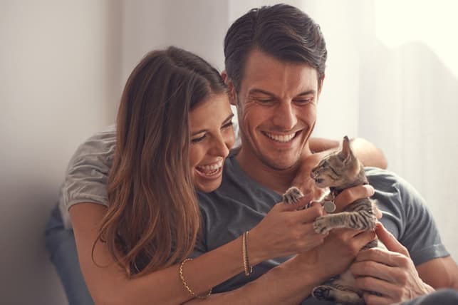 a couple petting a kitten together