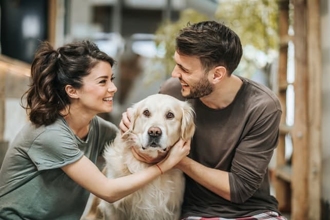 a happy couple petting their dog together