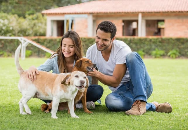 cheerful couple petting their dog outdoors